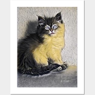 Persian Cat Posters and Art